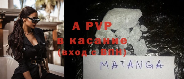 шишки Билибино
