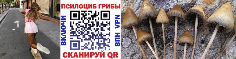 ОМГ ОМГ ссылки  Ртищево  Псилоцибиновые грибы мицелий 