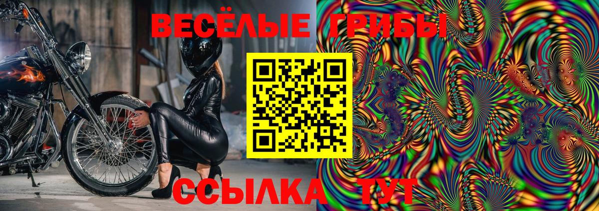 Псилоцибиновые грибы Magic Shrooms Ртищево