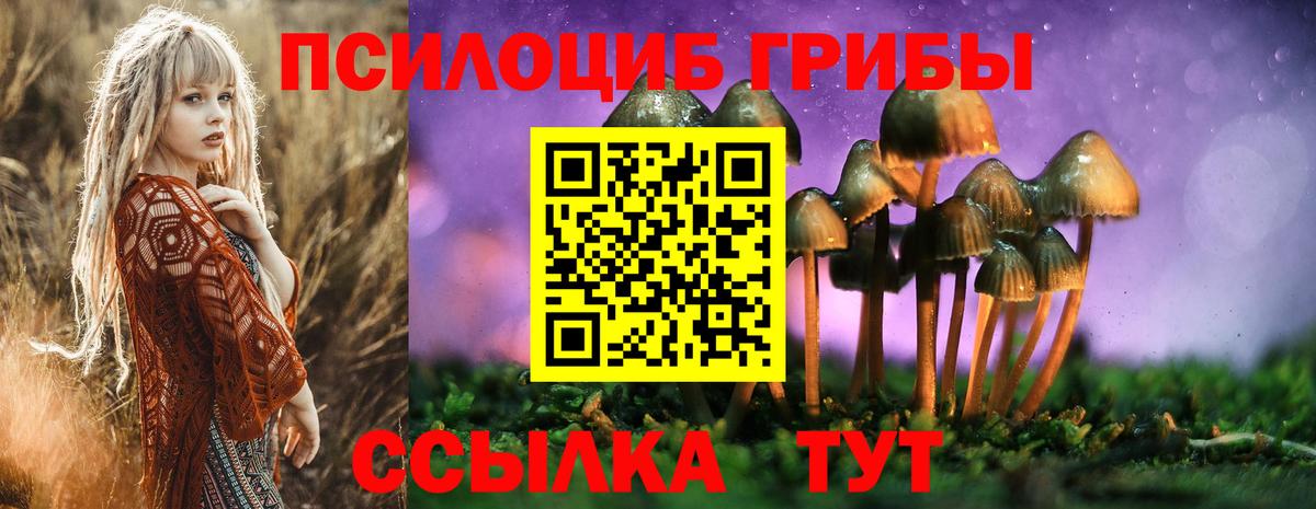Псилоцибиновые грибы Psilocybe  Галлюциногенные грибы прущие грибы  Ртищево 