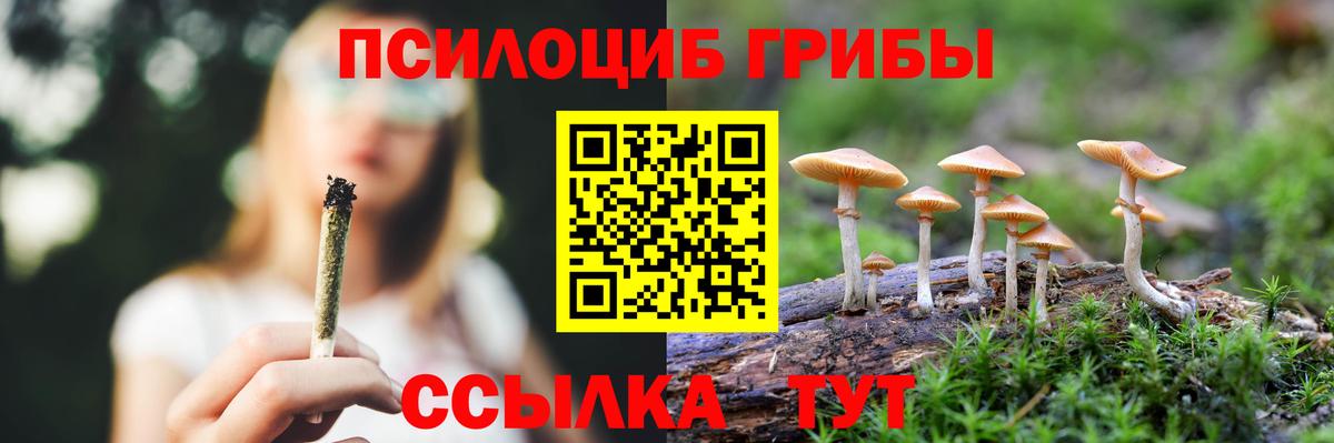Галлюциногенные грибы GOLDEN TEACHER  Вход с VPN  Ртищево  Галлюциногенные грибы Psilocybe 
